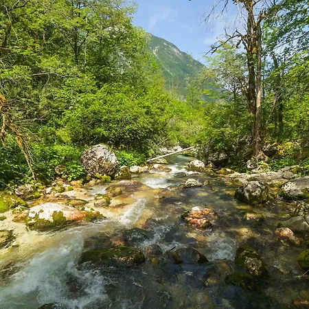 Pocitnisko Stanovanje Aurora * Bovec